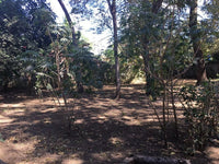 Lot K-24: Prime Surfside Lot Just Steps from the Beach! thumbnail