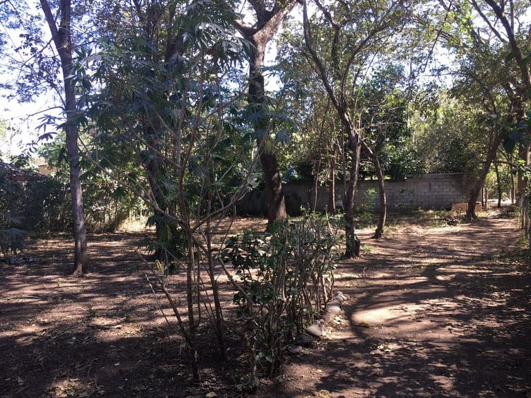 Lot K-24: Prime Surfside Lot Just Steps from the Beach!
