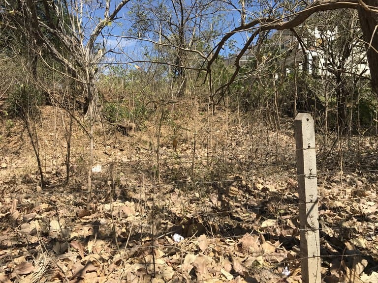 Beach Properties in Playas del Coco: Fantastic Opportunity Near the Town Center