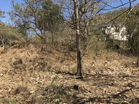 Beach Properties in Playas del Coco: Fantastic Opportunity Near the Town Center thumbnail