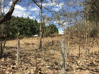 Beach Properties in Playas del Coco: Fantastic Opportunity Near the Town Center thumbnail
