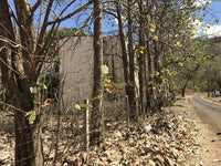 Beach Properties in Playas del Coco: Fantastic Opportunity Near the Town Center thumbnail