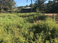 Expansive Beach Property in Playas del Coco thumbnail