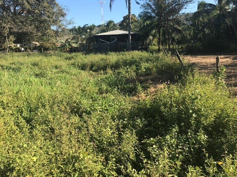 Expansive Beach Property in Playas del Coco