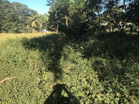 Expansive Beach Property in Playas del Coco thumbnail