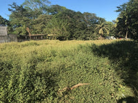 Expansive Beach Property in Playas del Coco thumbnail