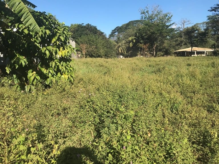 Expansive Beach Property in Playas del Coco