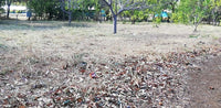 Prime Property in Coco Beach thumbnail
