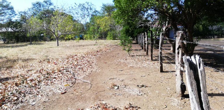 Prime Property in Coco Beach