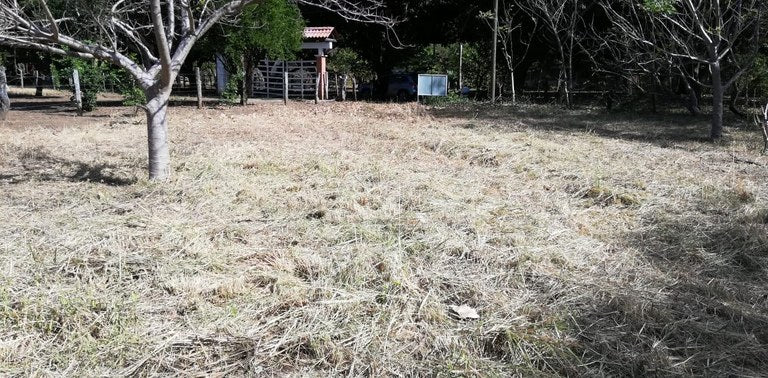 Prime Property in Coco Beach