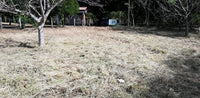 Prime Property in Coco Beach thumbnail