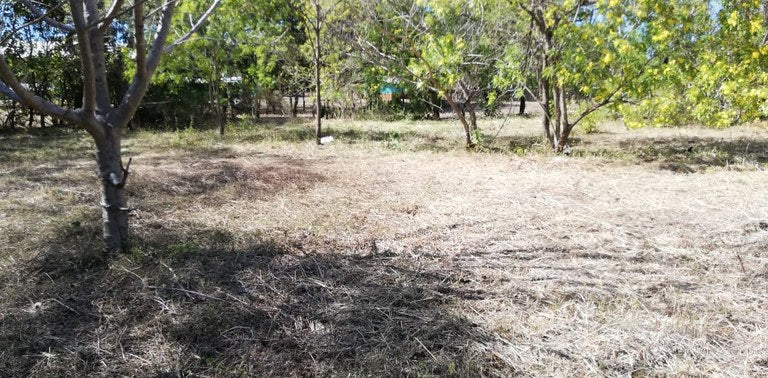 Prime Property in Coco Beach