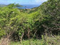 Property with Spectacular Ocean Views in Playas del Coco thumbnail
