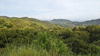 Lot 22B Pacific Heights, Playa Potrero: Stunning Views, Nature, Privacy, Water, and a Building Permit! thumbnail