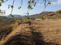 Lot 22B Pacific Heights, Playa Potrero: Stunning Views, Nature, Privacy, Water, and a Building Permit! thumbnail