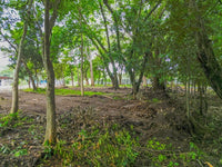 1138sqm Homesite in Playa Potrero: Prime Location Near Surfside with Exceptional Size thumbnail
