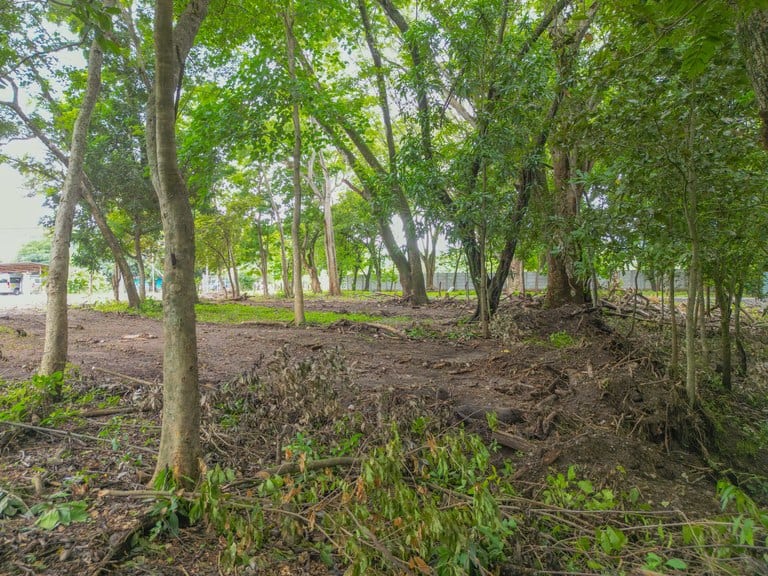 1138sqm Homesite in Playa Potrero: Prime Location Near Surfside with Exceptional Size