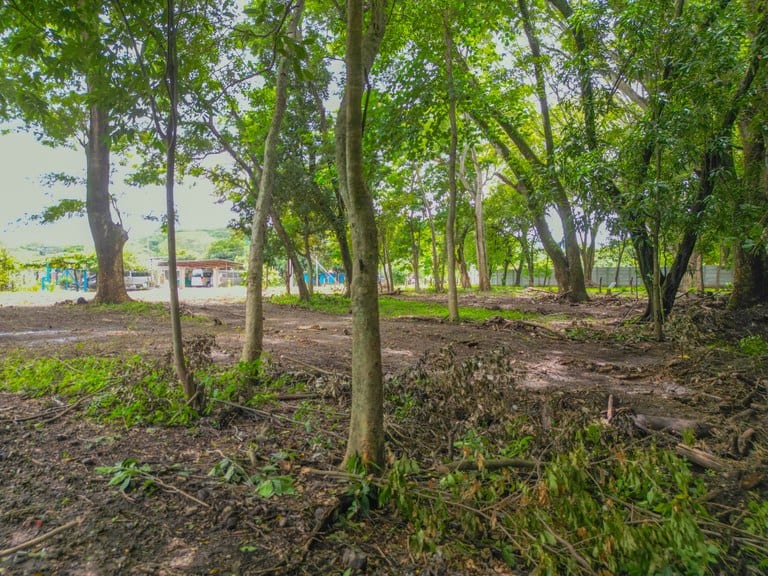 1138sqm Homesite in Playa Potrero: Prime Location Near Surfside with Exceptional Size