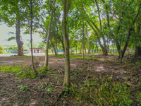 1138sqm Homesite in Playa Potrero: Prime Location Near Surfside with Exceptional Size thumbnail