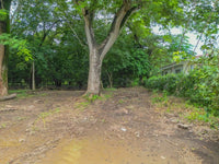 1138sqm Homesite in Playa Potrero: Prime Location Near Surfside with Exceptional Size thumbnail