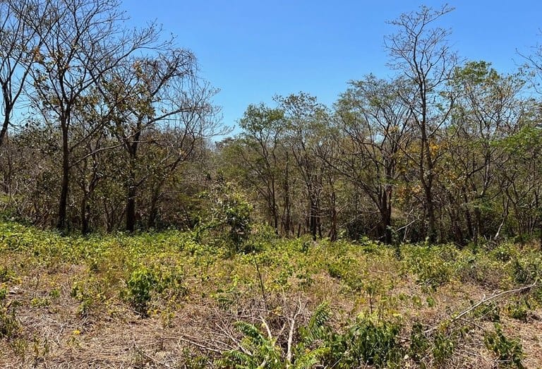 1.3 AC Lot: Prime Location Near Playa Negra – Rancho Agua Dulce