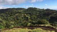 Clover Fields: Prime Development Land with Spectacular Views and Endless Potential Near Monteverde thumbnail