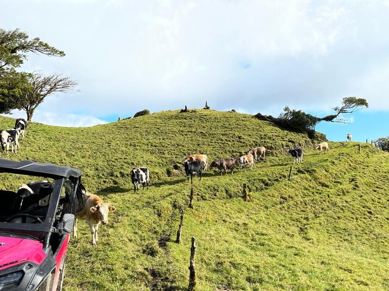 Clover Fields: Prime Development Land with Spectacular Views and Endless Potential Near Monteverde