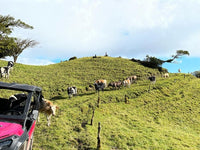 Clover Fields: Prime Development Land with Spectacular Views and Endless Potential Near Monteverde thumbnail