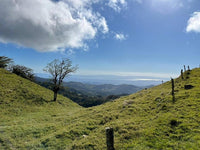 Clover Fields: Prime Development Land with Spectacular Views and Endless Potential Near Monteverde thumbnail