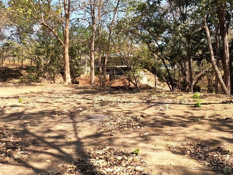 Discover the land of your dreams, complete with full plans for a stunning three-bedroom home!