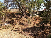 Discover the land of your dreams, complete with full plans for a stunning three-bedroom home! thumbnail