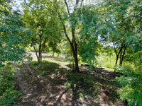 Lot with Beachfront Access and Ocean Views in Playas del Coco thumbnail