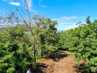 Lot with Beachfront Access and Ocean Views in Playas del Coco thumbnail