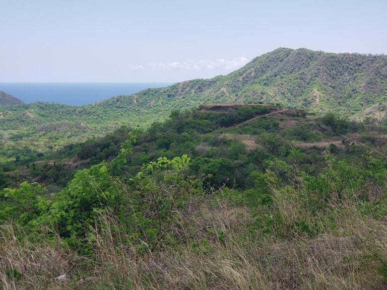 Pacific Heights Parcel: Prime Mountain Development Lot for Sale in Playa Potrero