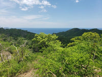 Pacific Heights Parcel: Prime Mountain Development Lot for Sale in Playa Potrero thumbnail