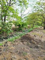 Lote Cañas: Prime Countryside Home Construction Site for Sale in Cañas thumbnail