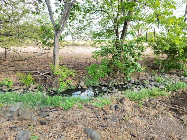 Lote Cañas: Prime Countryside Home Construction Site for Sale in Cañas