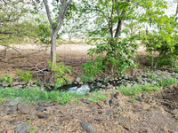 Lote Cañas: Prime Countryside Home Construction Site for Sale in Cañas thumbnail