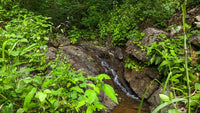 Finca Vista Real: Prime Ocean View Development Opportunity in Playas del Coco! thumbnail