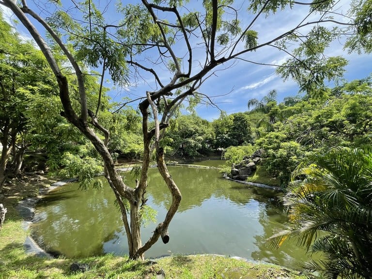 Senderos Lot: Turn-Key Lot in a Prestigious Luxury Gated Community!