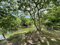 Senderos Lot: Turn-Key Lot in a Prestigious Luxury Gated Community! thumbnail