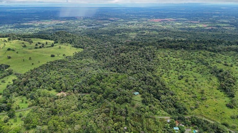 Finca Macadamia: A 154-Acre Rainforest Haven with Two Homes and Scenic Trails!