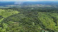 Finca Macadamia: A 154-Acre Rainforest Haven with Two Homes and Scenic Trails! thumbnail