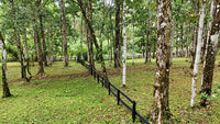 Finca Macadamia: A 154-Acre Rainforest Haven with Two Homes and Scenic Trails! thumbnail