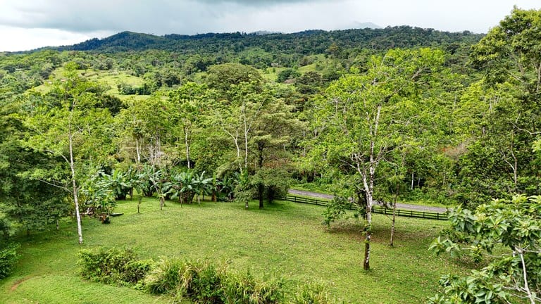 Finca Macadamia: A 154-Acre Rainforest Haven with Two Homes and Scenic Trails!