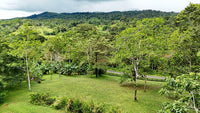 Finca Macadamia: A 154-Acre Rainforest Haven with Two Homes and Scenic Trails! thumbnail