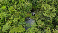Finca Macadamia: A 154-Acre Rainforest Haven with Two Homes and Scenic Trails! thumbnail