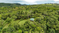Finca Macadamia: A 154-Acre Rainforest Haven with Two Homes and Scenic Trails! thumbnail