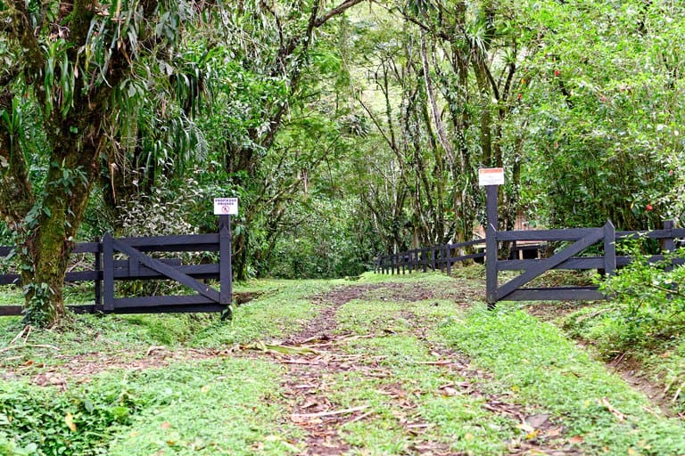 Finca Macadamia: A 154-Acre Rainforest Haven with Two Homes and Scenic Trails!