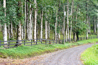 Finca Macadamia: A 154-Acre Rainforest Haven with Two Homes and Scenic Trails! thumbnail